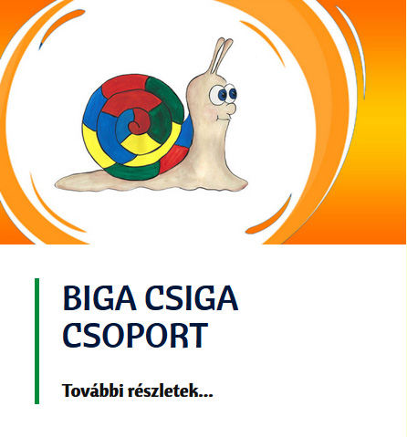 CSoport buzavirag uj