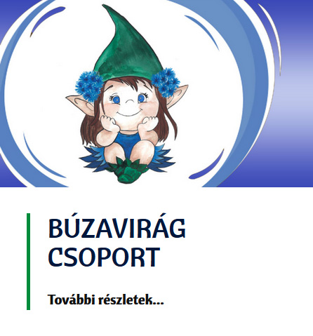 CSoport buzavirag uj